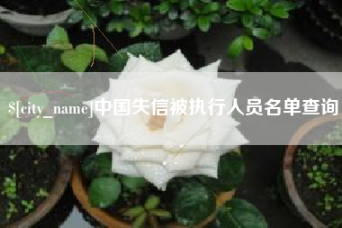 长宁中国失信被执行人员名单查询