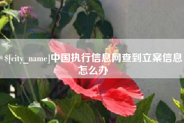 长宁中国执行信息网查到立案信息怎么办