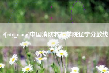 长宁中国消防救援学院辽宁分数线