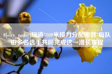 长宁短道5000米接力分配圈数-每队由多名选手共同完成这一漫长赛程