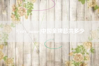 长宁中国金牌总共多少