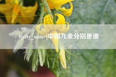 长宁中国九金分别是谁