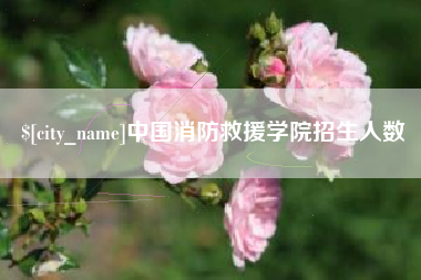 长宁中国消防救援学院招生人数