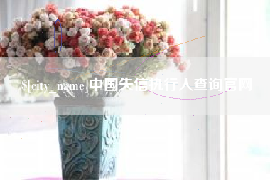 长宁中国失信执行人查询官网