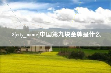 长宁中国第九块金牌是什么