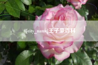 长宁王子豪百科