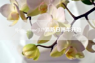 长宁119消防日哪年开始