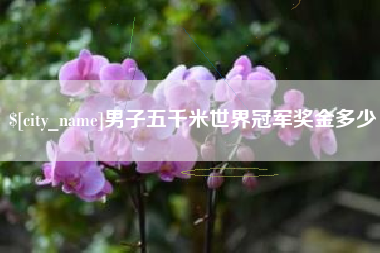 长宁男子五千米世界冠军奖金多少