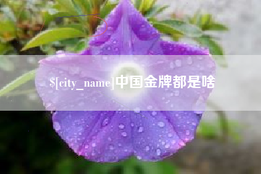 长宁中国金牌都是啥