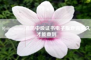 长宁消防中级证书电子版查询多久才能查到
