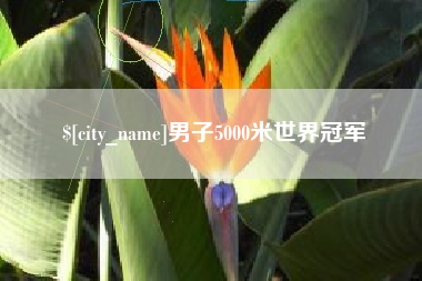 长宁男子5000米世界冠军