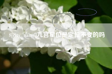 长宁九宫星位是定位不变的吗
