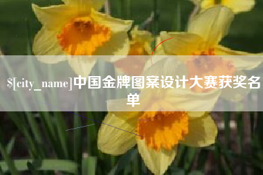 长宁中国金牌图案设计大赛获奖名单