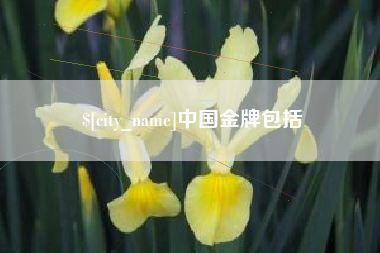 长宁中国金牌包括