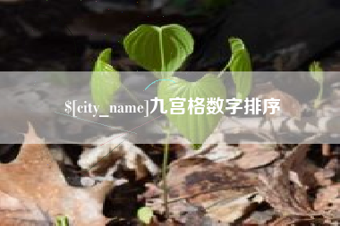长宁九宫格数字排序