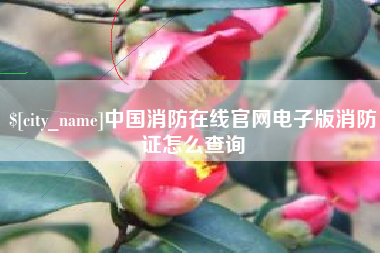 长宁中国消防在线官网电子版消防证怎么查询