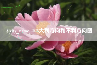 长宁2025大利方向和不利方向图