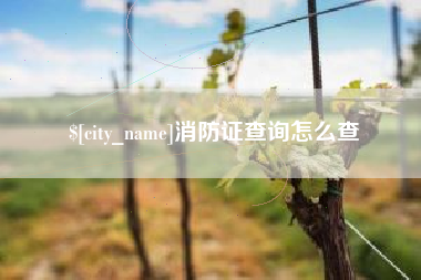 长宁消防证查询怎么查