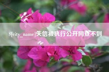 长宁失信被执行公开网查不到