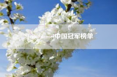 长宁中国冠军榜单