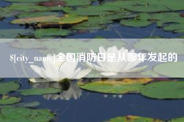 长宁全国消防日是从哪年发起的