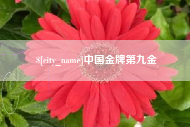 长宁中国金牌第九金