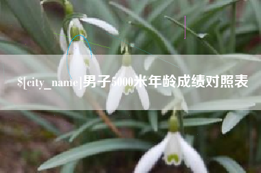 长宁男子5000米年龄成绩对照表
