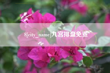 长宁九宫排盘免费