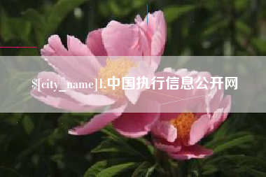长宁1.中国执行信息公开网
