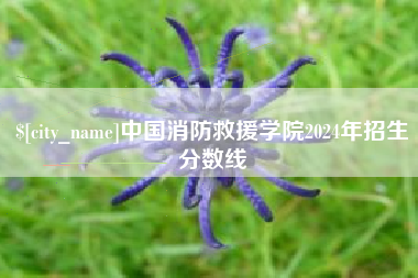长宁中国消防救援学院2024年招生分数线