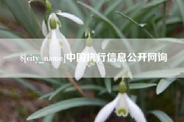 长宁中国执行信息公开网询