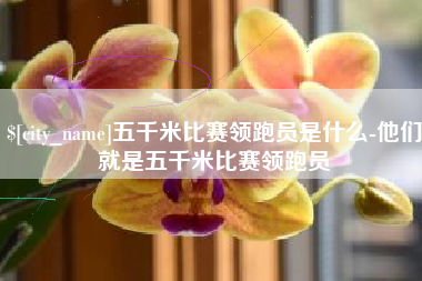 长宁五千米比赛领跑员是什么-他们就是五千米比赛领跑员