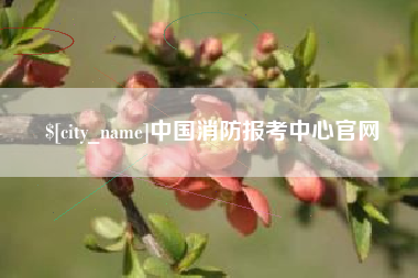 长宁中国消防报考中心官网