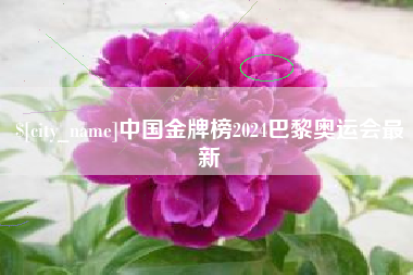 长宁中国金牌榜2024巴黎奥运会最新