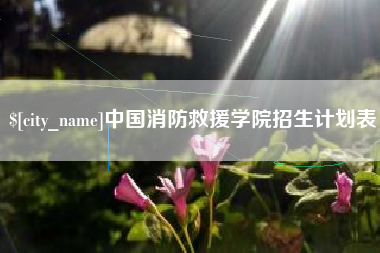 长宁中国消防救援学院招生计划表