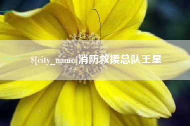 长宁消防救援总队王星