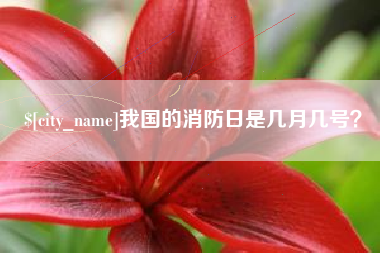 长宁我国的消防日是几月几号？