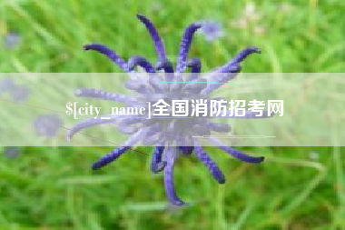 长宁全国消防招考网