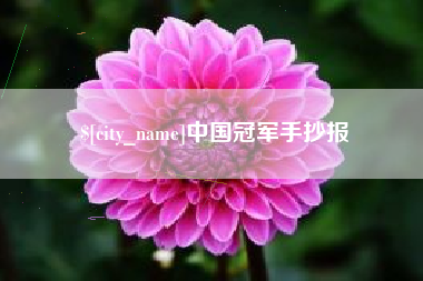 长宁中国冠军手抄报