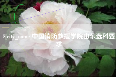 长宁中国消防救援学院山东选科要求