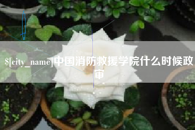 长宁中国消防救援学院什么时候政审