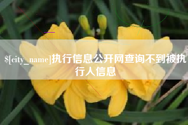 长宁执行信息公开网查询不到被执行人信息