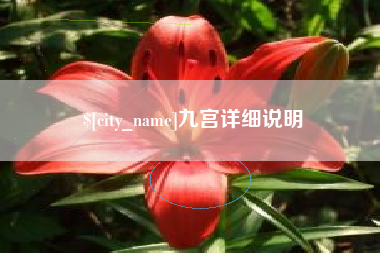 长宁九宫详细说明