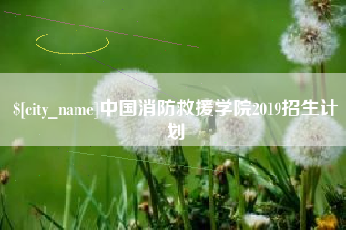 长宁中国消防救援学院2019招生计划