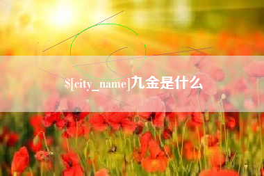 长宁九金是什么