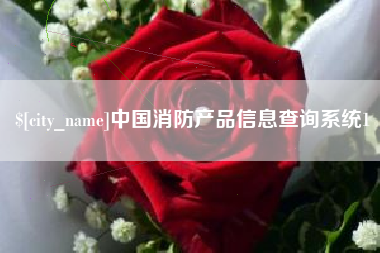 长宁中国消防产品信息查询系统1