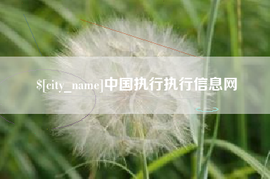 长宁中国执行执行信息网