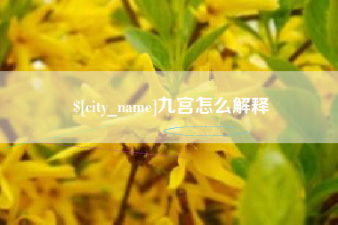 长宁九宫怎么解释