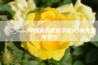 长宁中国消防救援学院2020高考报考条件