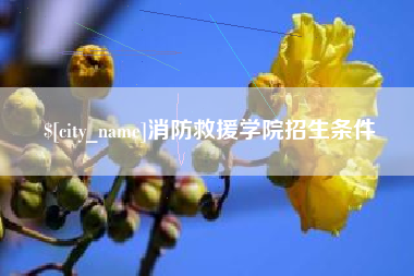 长宁消防救援学院招生条件